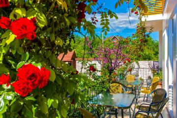 Отель Дольче Вита Россия, Геленджик, фото 25