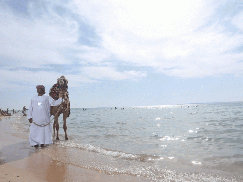 Pyramisa Beach Resort Sahl Hasheesh