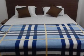 Отель Lavish Exotic Hotel Индия, Арамболь, фото 2