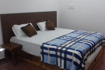 Отель Lavish Exotic Hotel Индия, Арамболь, фото 3