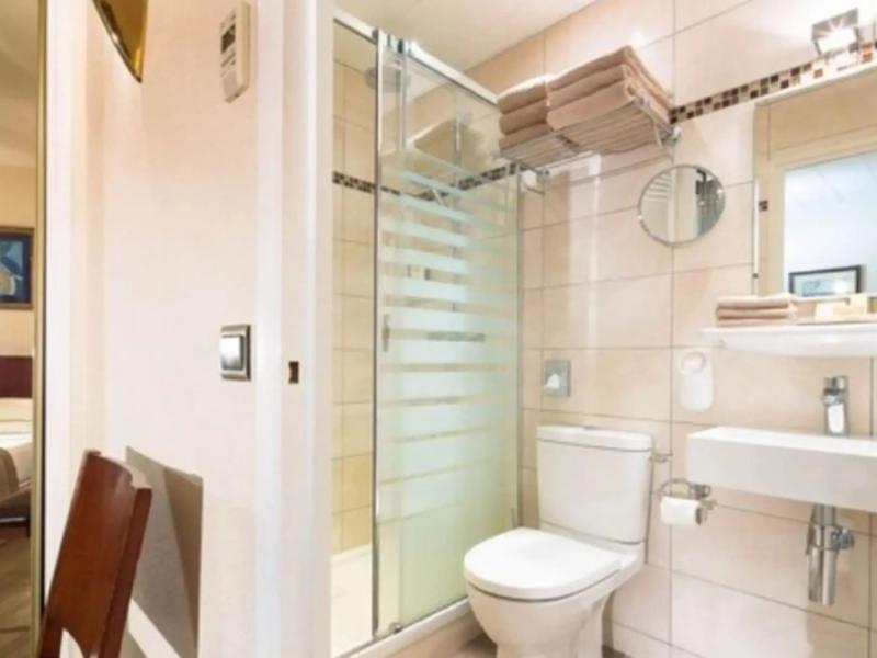Hotel Delavigne