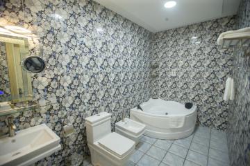 Отель Daniel Hill Узбекистан, Ташкент, фото 3