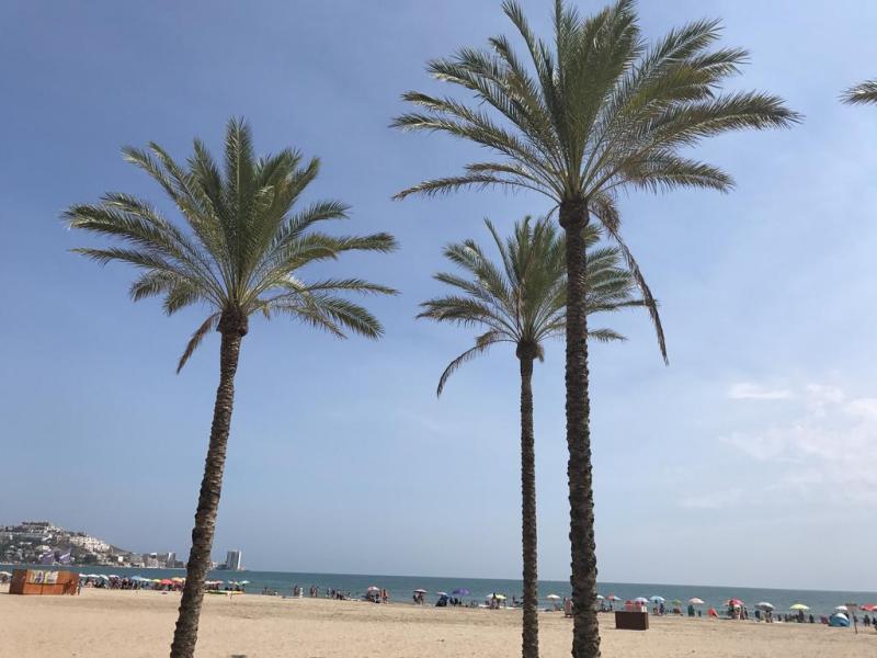 Hotel Imperial Cullera