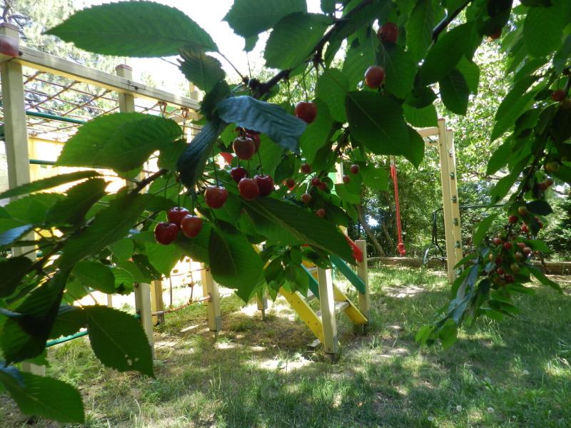 Усадьба Прованс