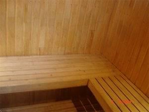 Diego de Almagro (Арика)