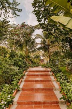 Отель Palm Hill Resort Вьетнам, Фукуок, фото 8