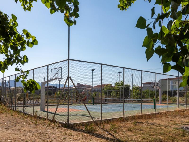 White Olive Premium Laganas