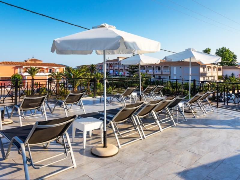 White Olive Premium Laganas