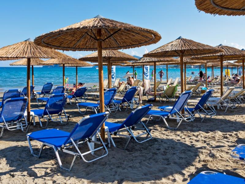 White Olive Premium Laganas