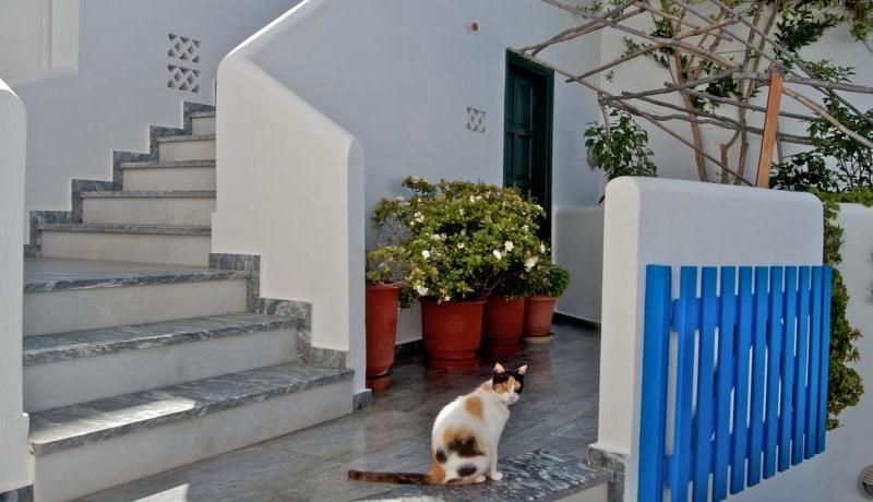 Alex Mykonos Hotel