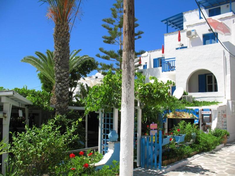 Diogenis Studios