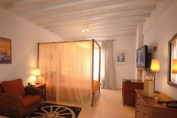 Отель Dionysos Luxury Hotel Mykonos Греция, о Миконос, фото 2