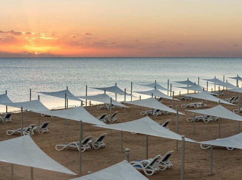 Gravity Sahl Hasheesh