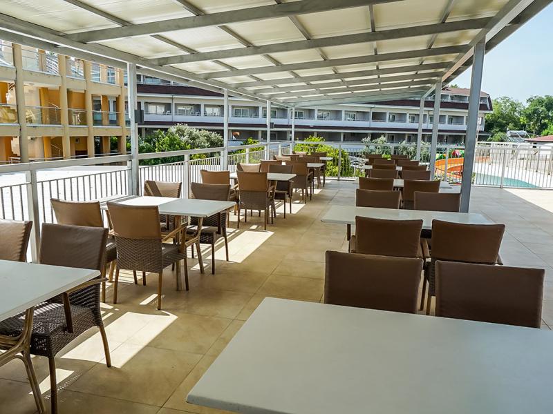 Cats Catty Garden Hotel