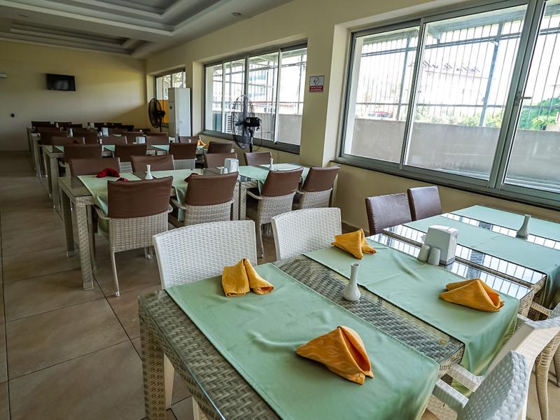 Cats Catty Garden Hotel