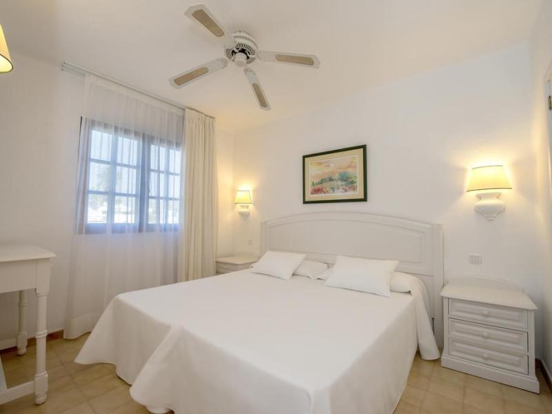 Relaxia Olivina