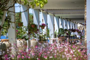 Отель Doria Hotel & Yacht Club Турция, Каш, фото 15