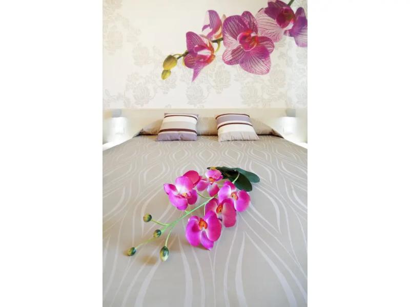 Alex Hotel