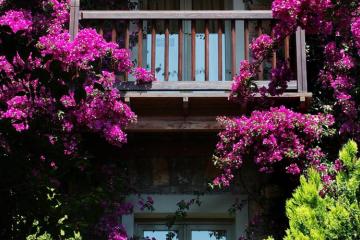 Отель Divan Bodrum Турция, Бодрум, фото 14