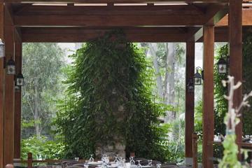 Отель Divan Bodrum Турция, Бодрум, фото 17