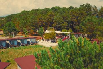 Отель Forest Club Абхазия, Пицунда, фото 4