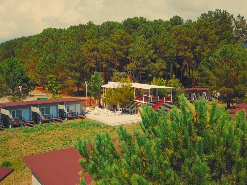 Forest Club