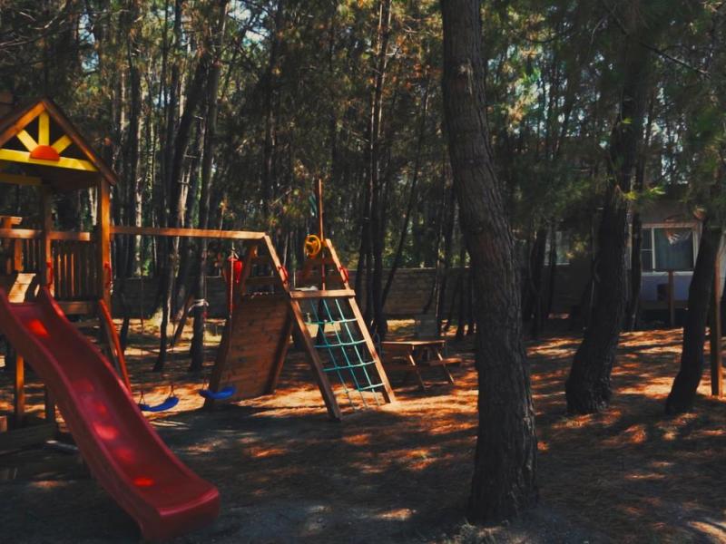 Forest Club