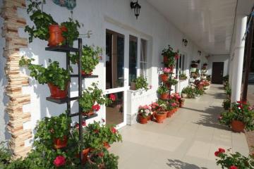 Отель Гостевой дом Руслан Абхазия, Гагра, фото 3