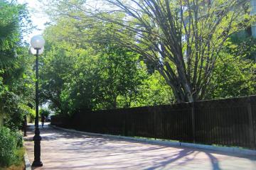 Отель Гостевой дом Лето (ул. Белорусская) Россия, Адлер, фото 19