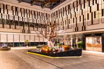 Отель Lankaran Springs Wellness Resort Азербайджан, Ленкорань, фото 21