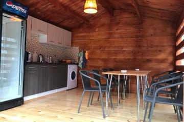 Отель Holiday Park Psyrdzha Абхазия, Новый Афон, фото 13