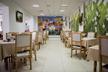 Отель Пансионат Акация Россия, Адлер, фото 21