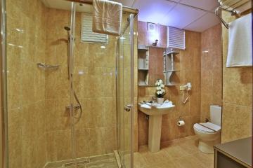 Отель The Hera Premium Hotels Турция, Стамбул, фото 9