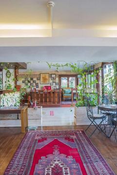 Отель Hotel Villa Daffodil Турция, Фетхие, фото 18