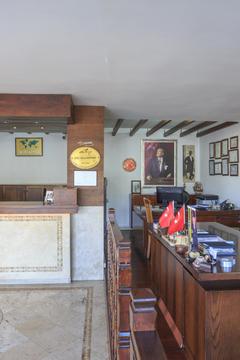 Отель Hotel Villa Daffodil Турция, Фетхие, фото 2