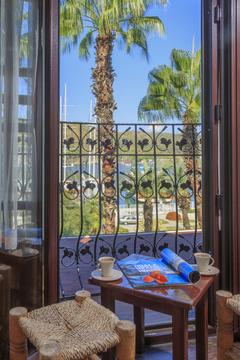 Отель Hotel Villa Daffodil Турция, Фетхие, фото 8
