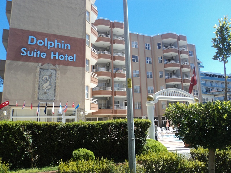 Dolphin Suite