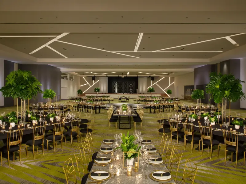 Dreams Natura Resort & Spa