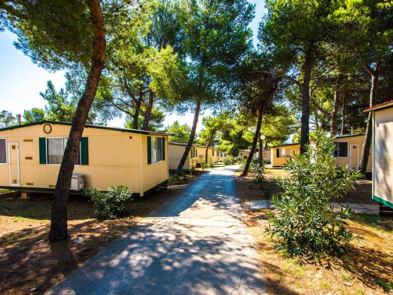 Arena Indije Mobile Homes