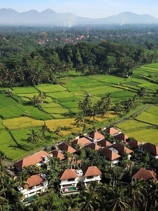 Dedary Resort Ubud by Ini Vie Hospitality