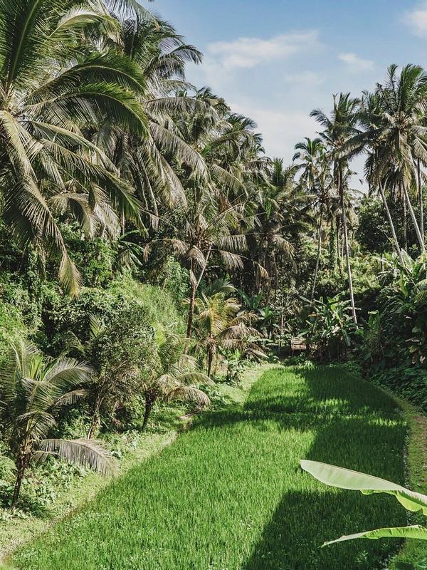 Dedary Resort Ubud by Ini Vie Hospitality