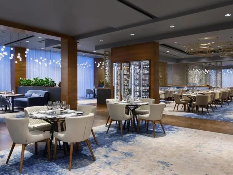 DoubleTree By Hilton Moscow - Vnukovo Airport Hotel