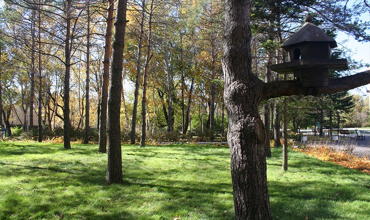 Санаторий Строитель