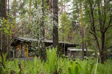 Отель Тэнери (Аскат) Россия, Республика Алтай, фото 39