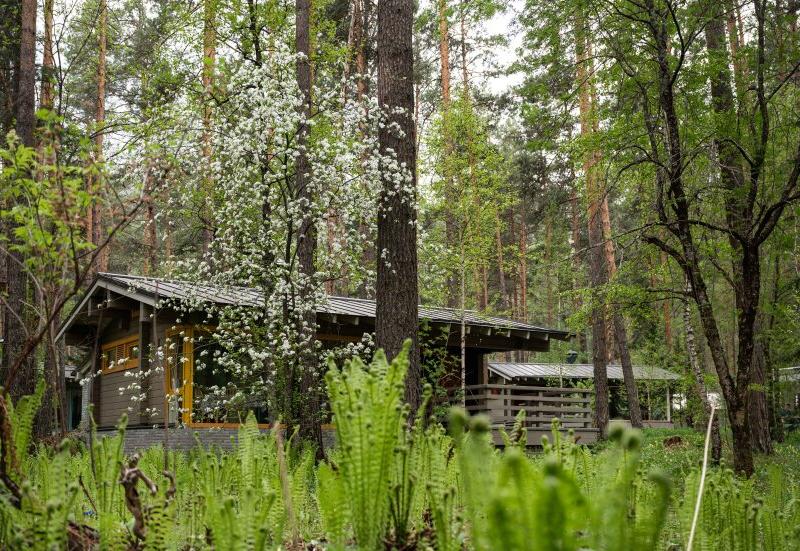 Тэнери (Аскат)