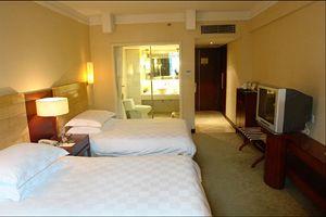 Donlord international