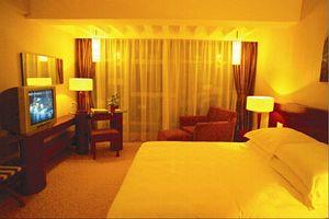 Donlord international