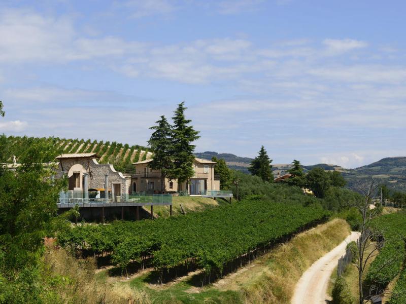 Tenuta Le Cave