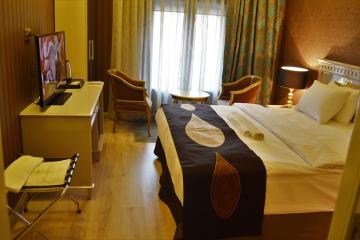 Отель Golden Gate Hotel Topkapi Турция, Фатих, фото 29