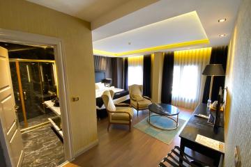 Отель Golden Gate Hotel Topkapi Турция, Фатих, фото 36